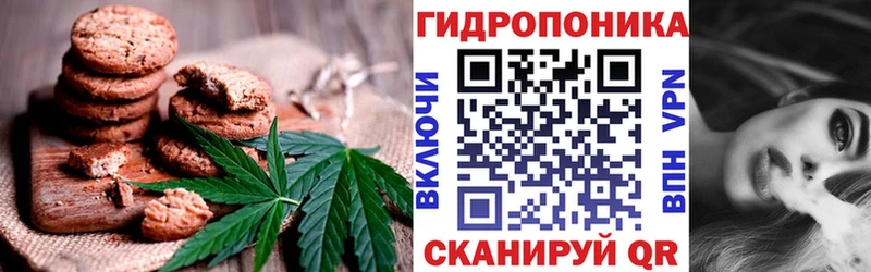 закладка  Тосно  Еда ТГК конопля 