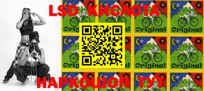 молекула духа Будённовск