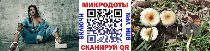 omg онион  Тосно  Псилоцибиновые грибы прущие грибы  наркотики 