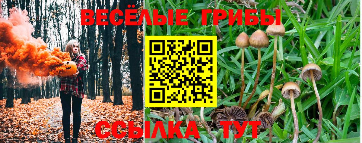 Галлюциногенные грибы GOLDEN TEACHER Тосно
